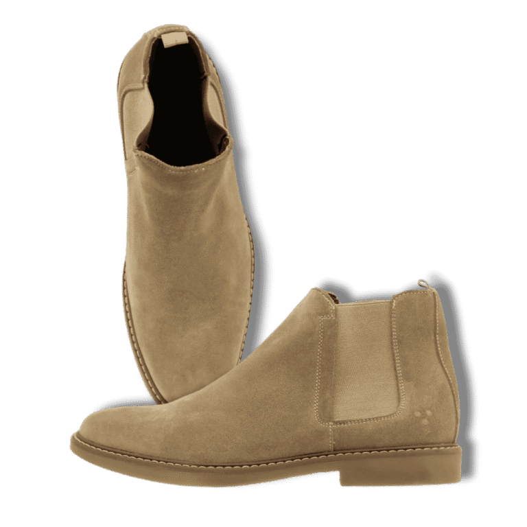 Diseño sin título - 2026-01-21T122631.402